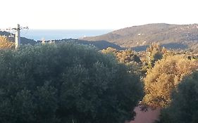 Gîte Tomasini